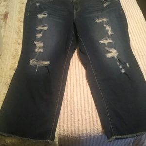 Torrid Jeans